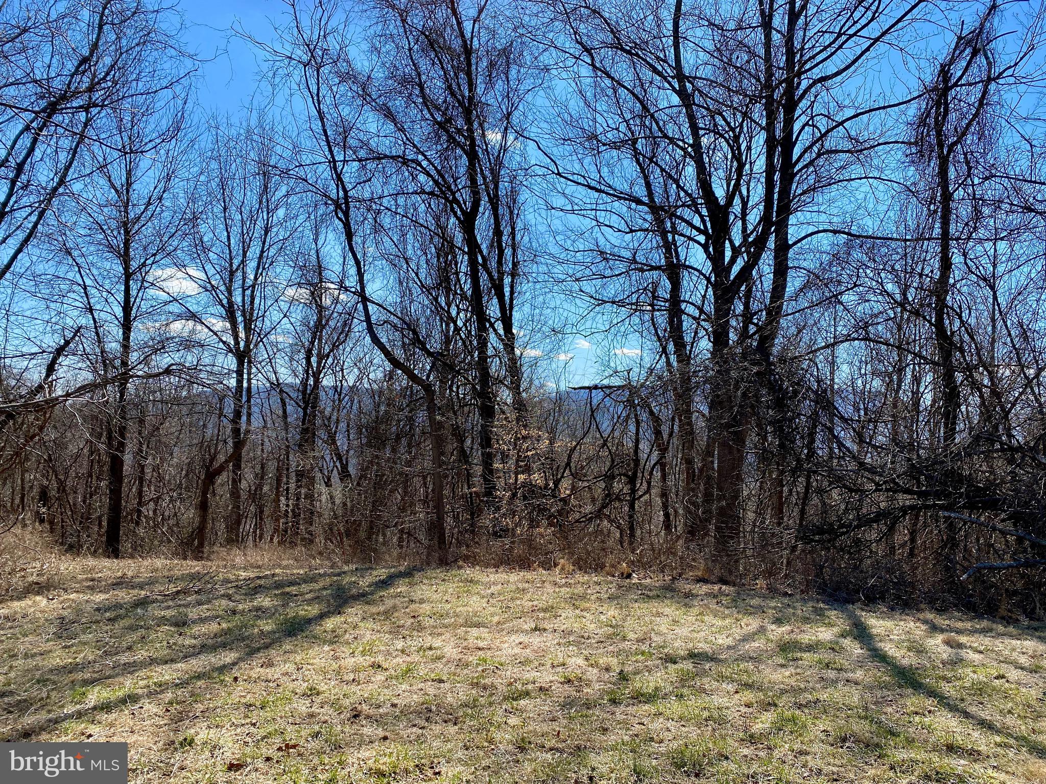 0 Leeds Manor Road Markham, VA 22643 - Photo 27 of 42