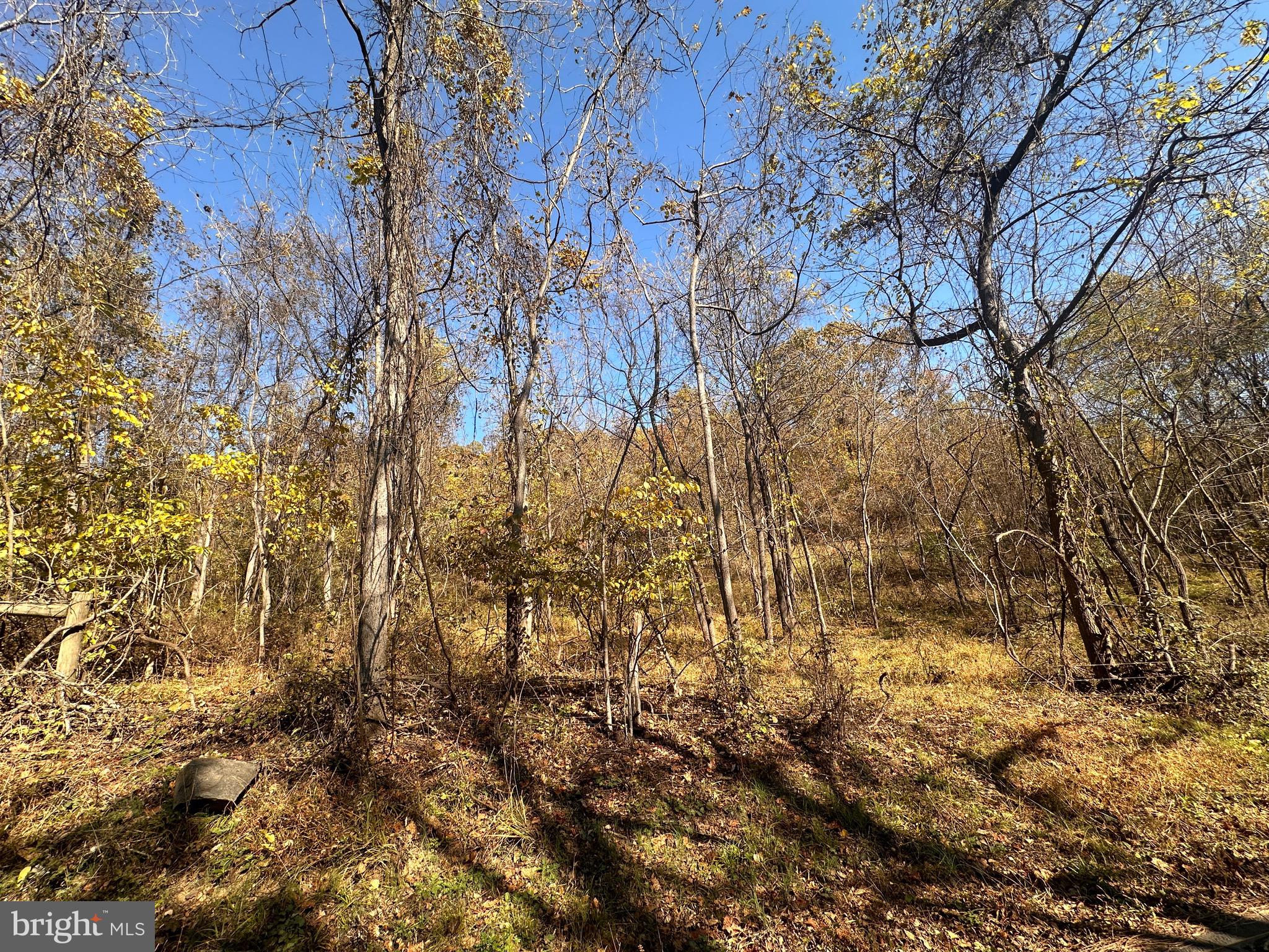 0 Leeds Manor Road Markham, VA 22643 - Photo 29 of 42