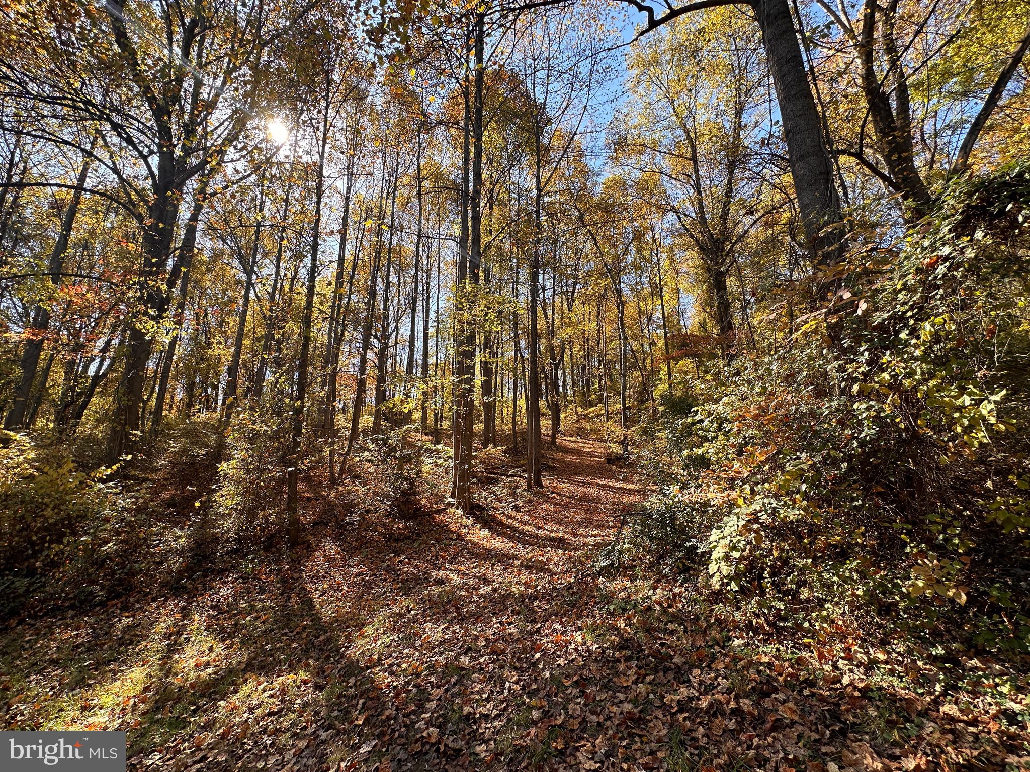 0 Leeds Manor Road Markham, VA 22643 - Photo 32 of 42