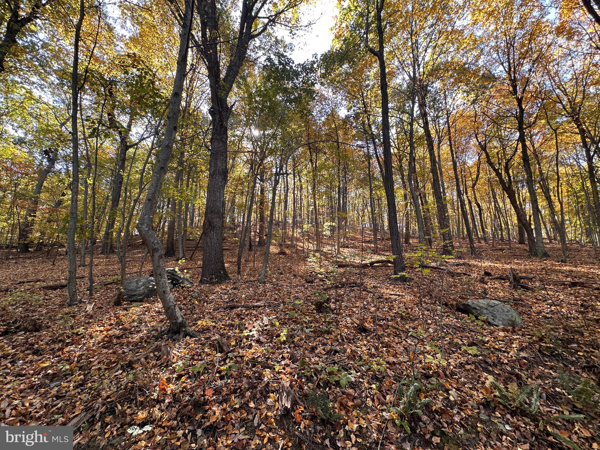 0 Leeds Manor Road Markham, VA 22643 - Photo 33 of 42