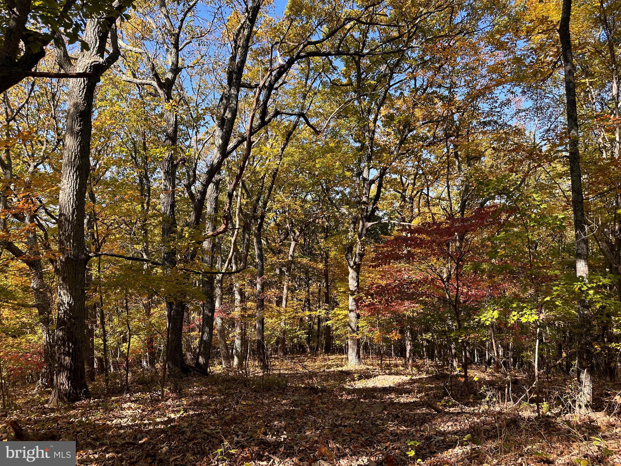 0 Leeds Manor Road Markham, VA 22643 - Photo 34 of 42