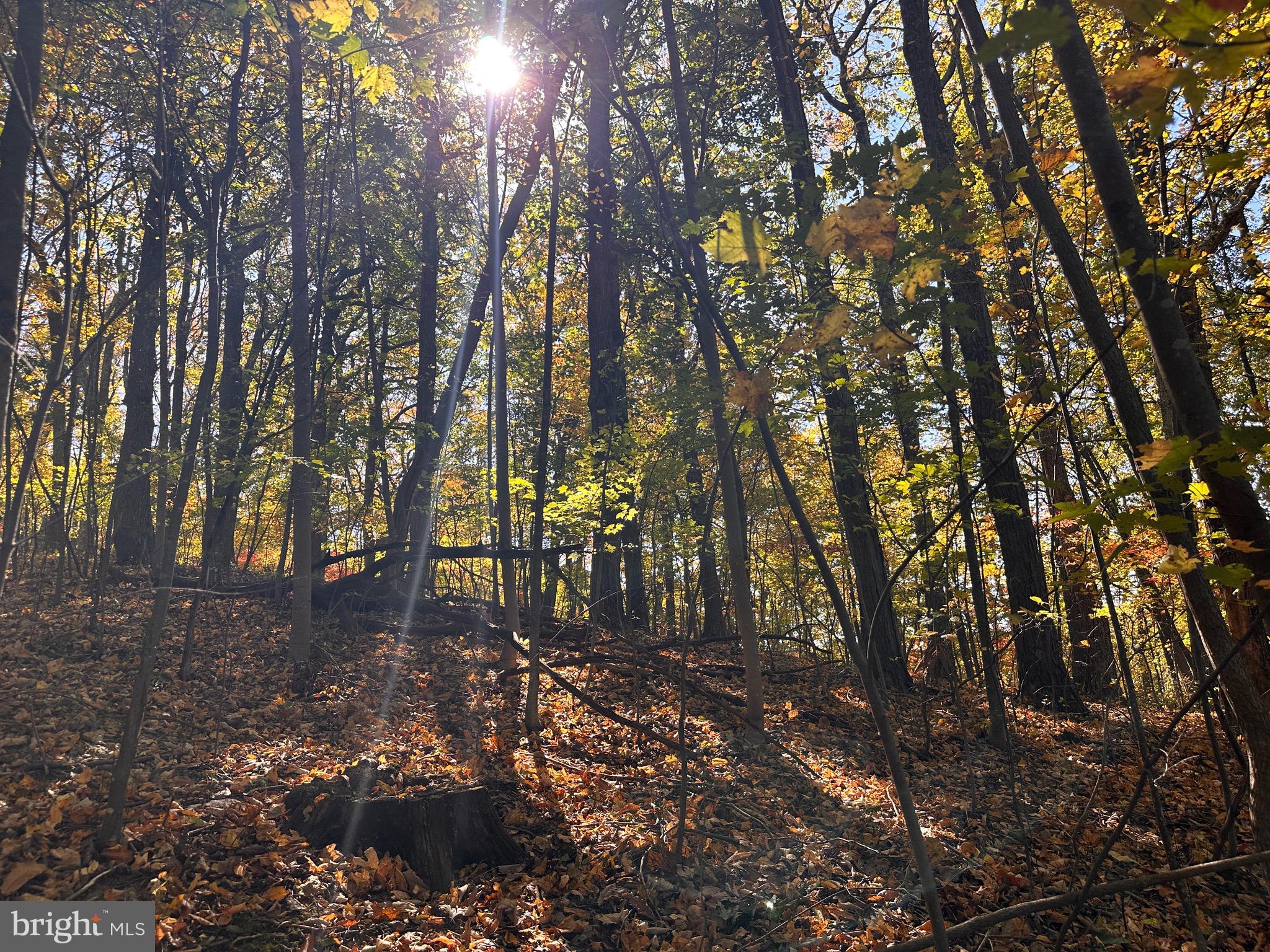 0 Leeds Manor Road Markham, VA 22643 - Photo 35 of 42