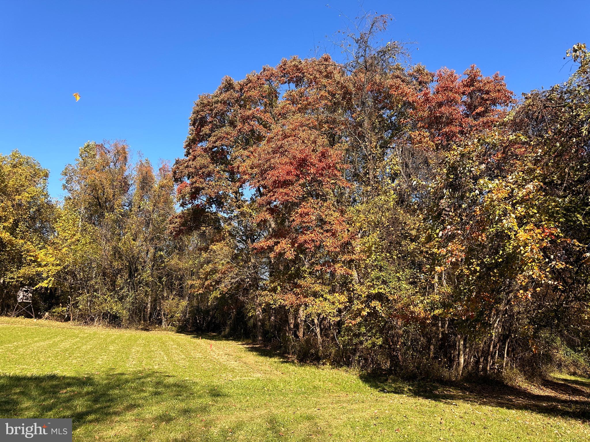 0 Leeds Manor Road Markham, VA 22643 - Photo 36 of 42