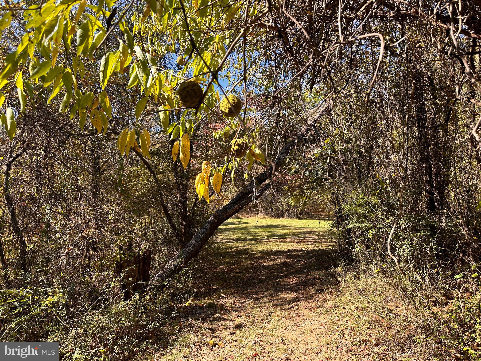 0 Leeds Manor Road Markham, VA 22643 - Photo 37 of 42