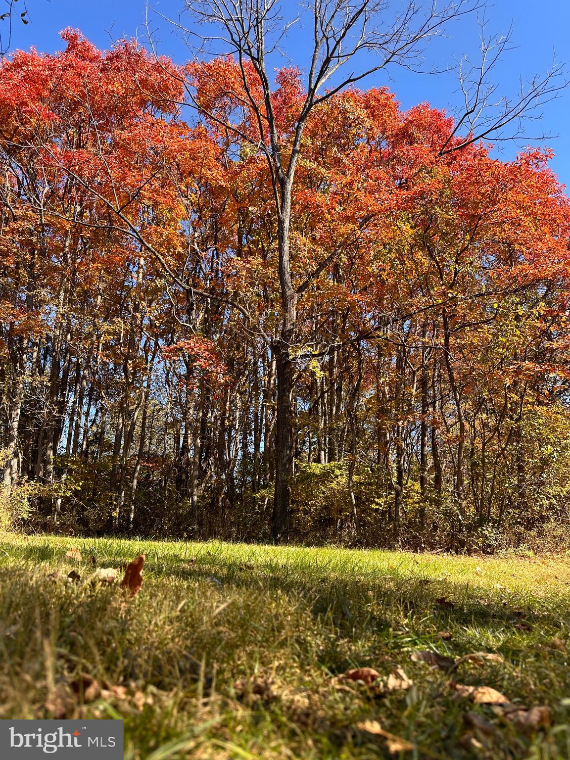 0 Leeds Manor Road Markham, VA 22643 - Photo 38 of 42