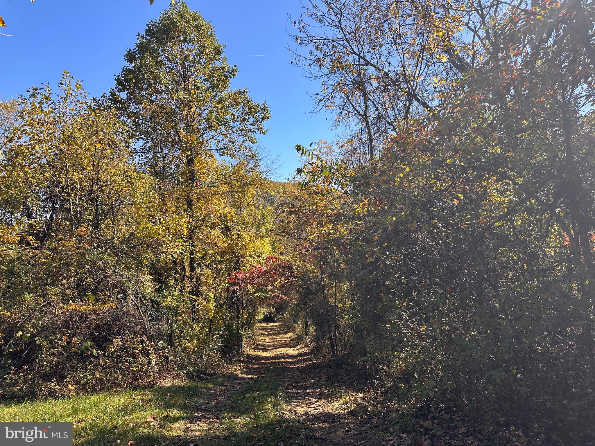 0 Leeds Manor Road Markham, VA 22643 - Photo 39 of 42