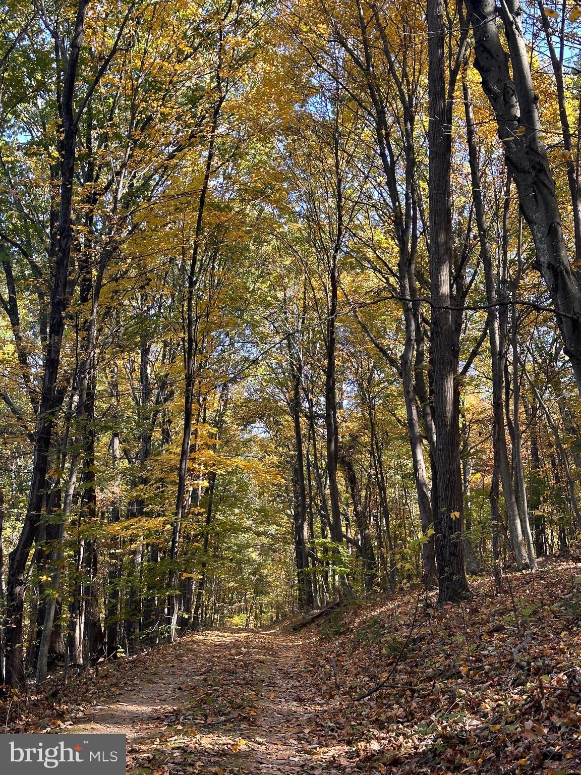 0 Leeds Manor Road Markham, VA 22643 - Photo 40 of 42