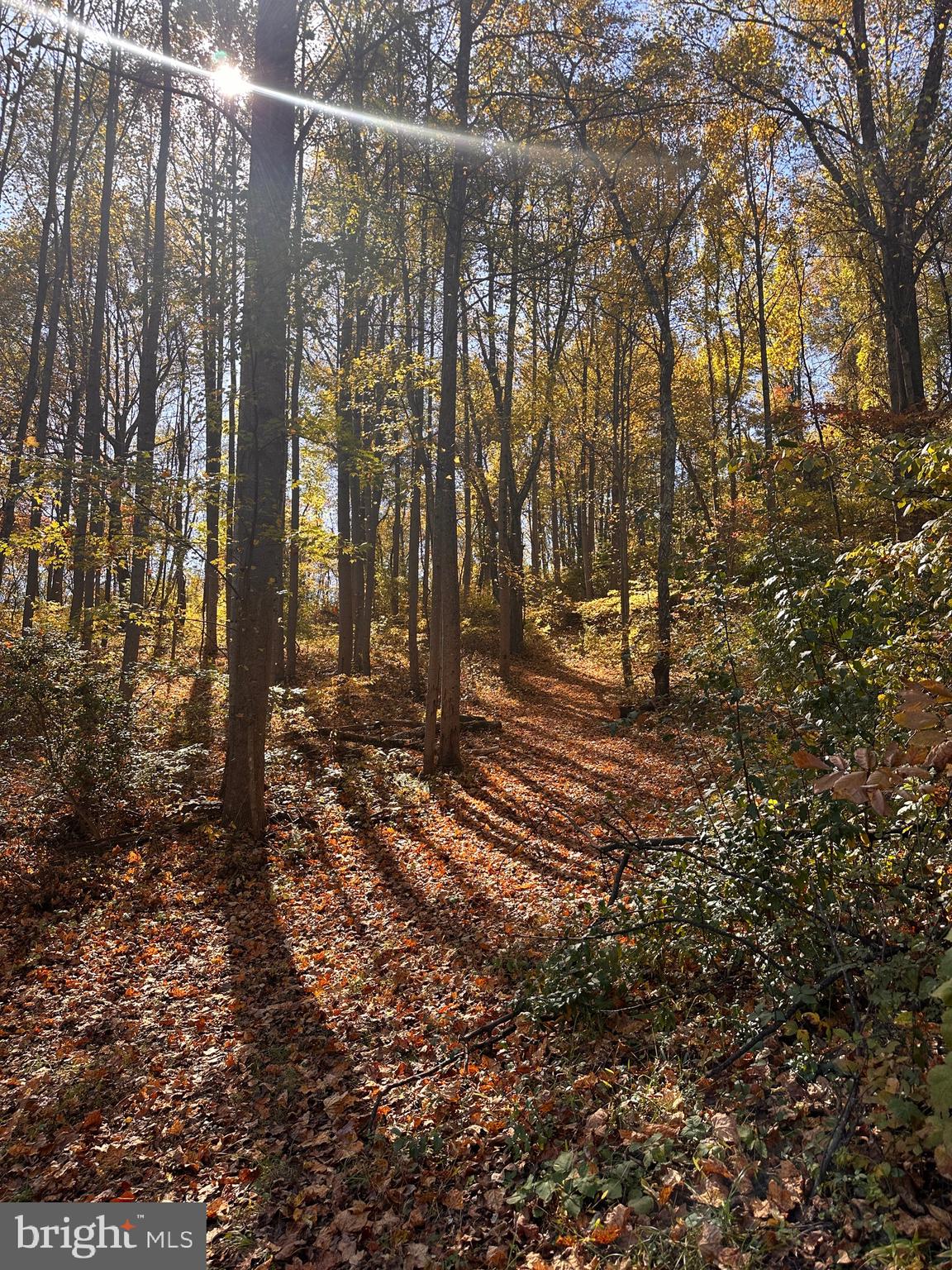 0 Leeds Manor Road Markham, VA 22643 - Photo 41 of 42