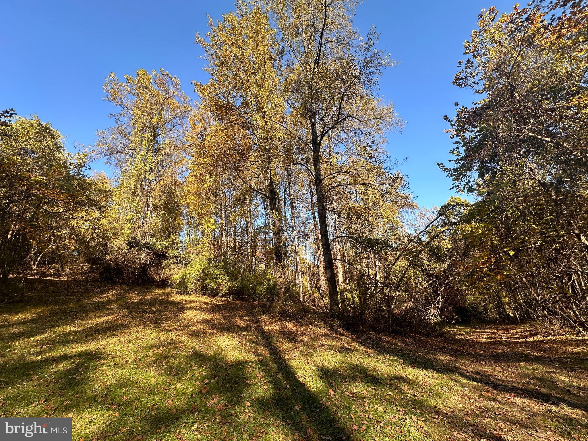 0 Leeds Manor Road Markham, VA 22643 - Photo 42 of 42