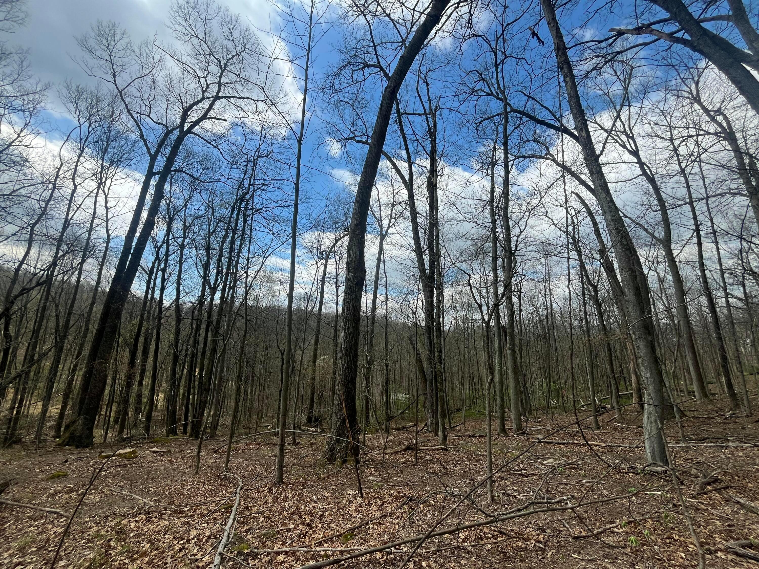 14040 Pinewood Trail Road Northeast Newark, OH 43055 - Photo 2 of 9 IMG_6647