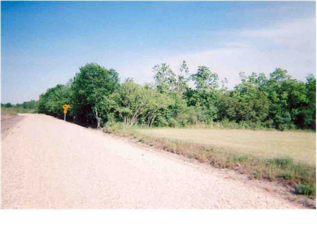 0 Andover Road Rayne, LA 70578 - Photo 1 of 2 Primary Photo