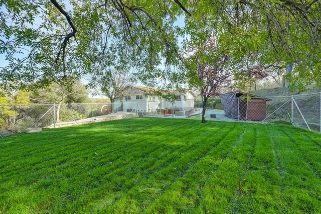 a view of a yard with plants and trees