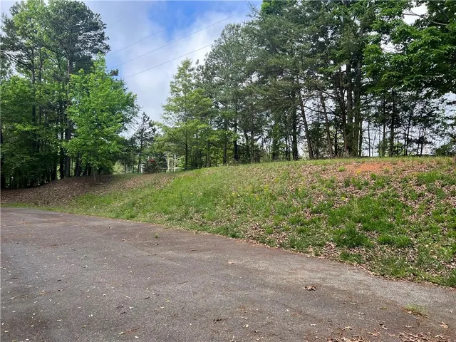 a view of a field with trees in background