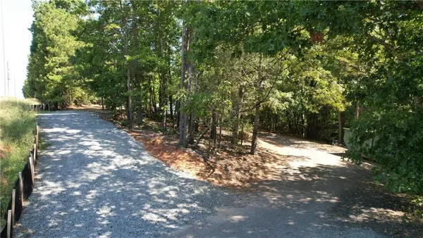 a view of a yard with plants and trees