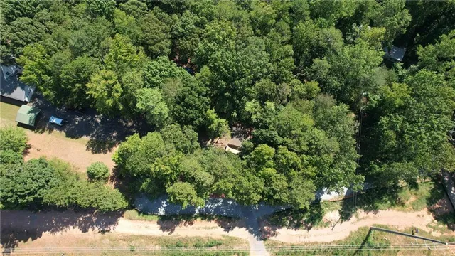 a view of a lake with a tree
