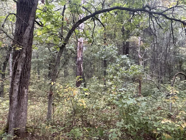 $85,000 | Tbd Hayden Lake Road, Danbury, WI 54830