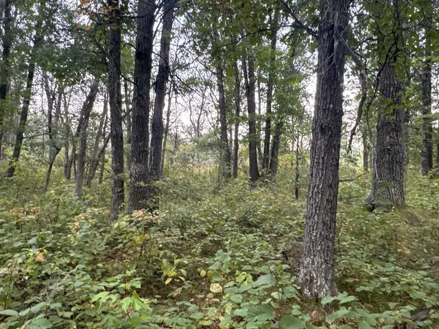 $85,000 | Tbd Hayden Lake Road, Danbury, WI 54830