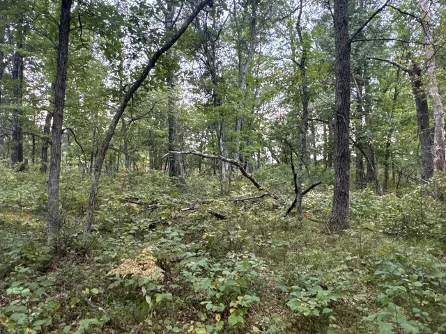 $85,000 | Tbd Hayden Lake Road, Danbury, WI 54830
