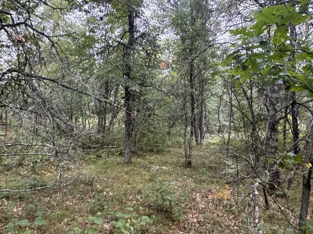 $85,000 | Tbd Hayden Lake Road, Danbury, WI 54830