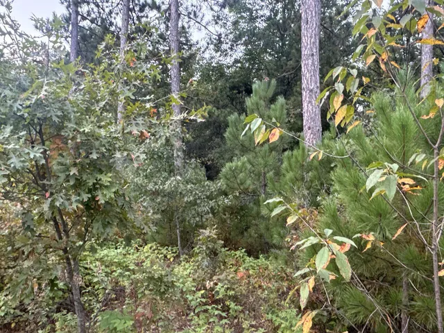 $85,000 | Tbd Hayden Lake Road, Danbury, WI 54830