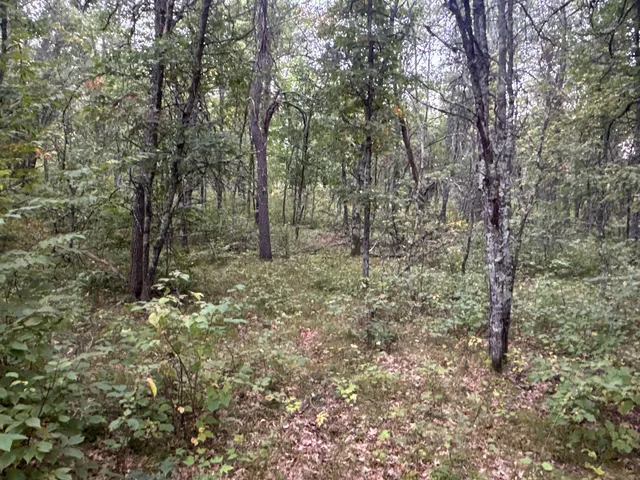 $85,000 | Tbd Hayden Lake Road, Danbury, WI 54830