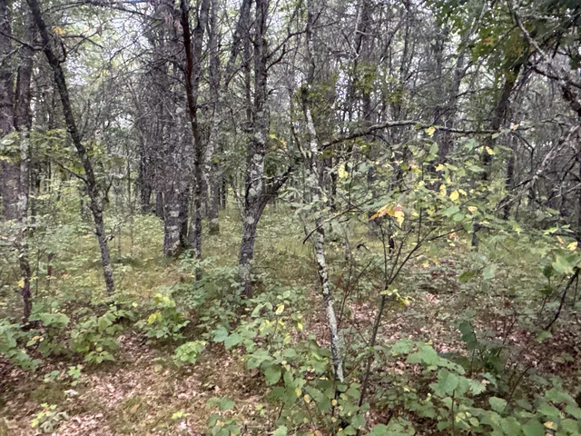 $85,000 | Tbd Hayden Lake Road, Danbury, WI 54830