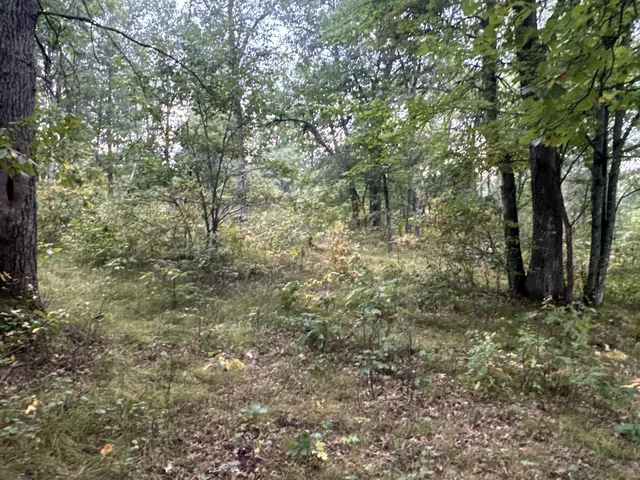 $85,000 | Tbd Hayden Lake Road, Danbury, WI 54830