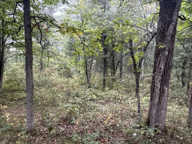 $85,000 | Tbd Hayden Lake Road, Danbury, WI 54830