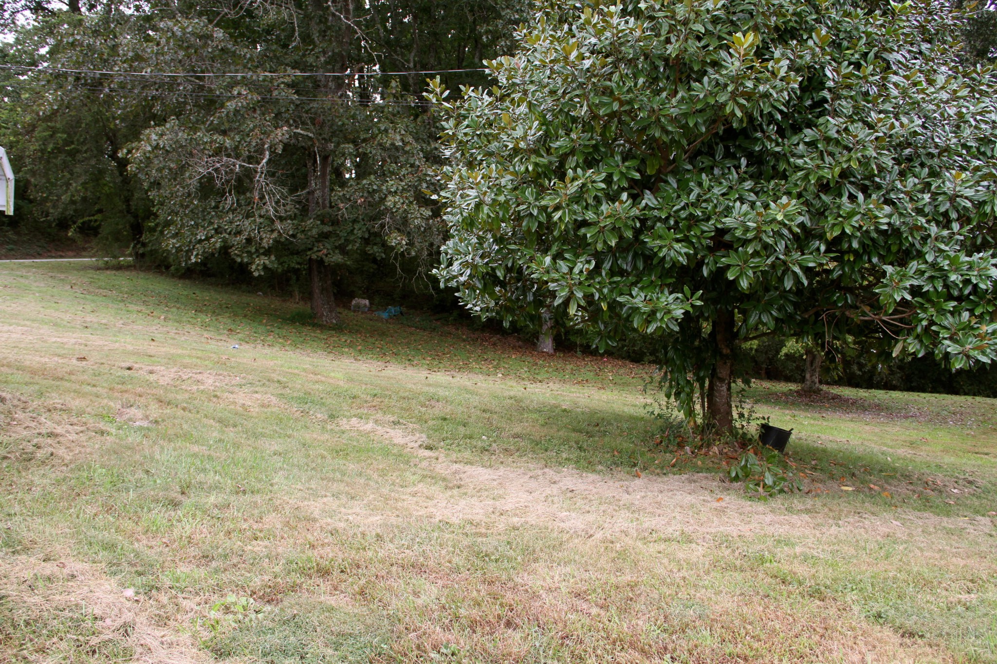 11095 Poplar Springs Road Loudon, TN 37774 - Photo 3 of 19 Gallery Image 3