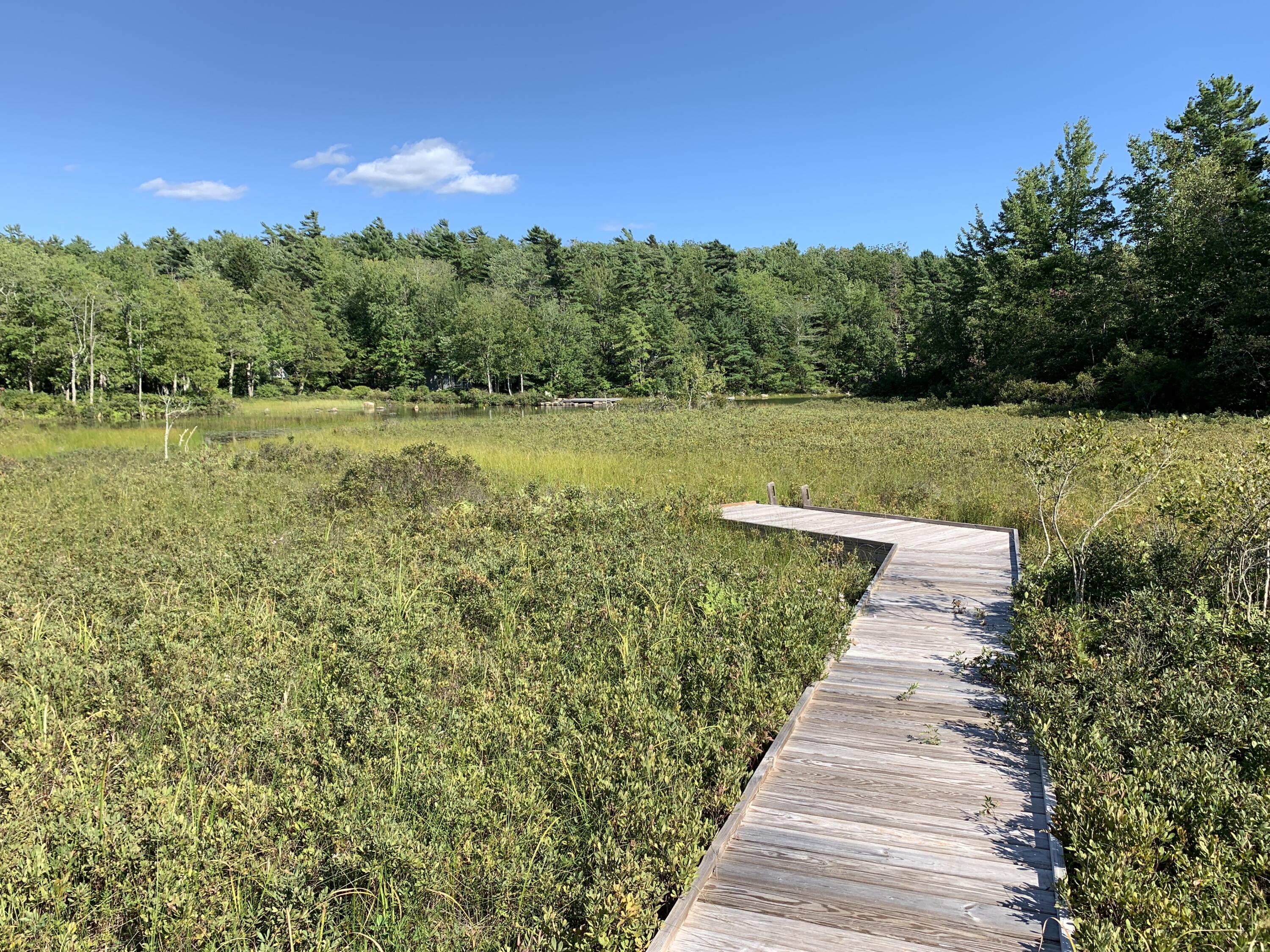 8 Lakeside Road Mount Desert, ME 04660 - Photo 7 of 11 IMG_6273