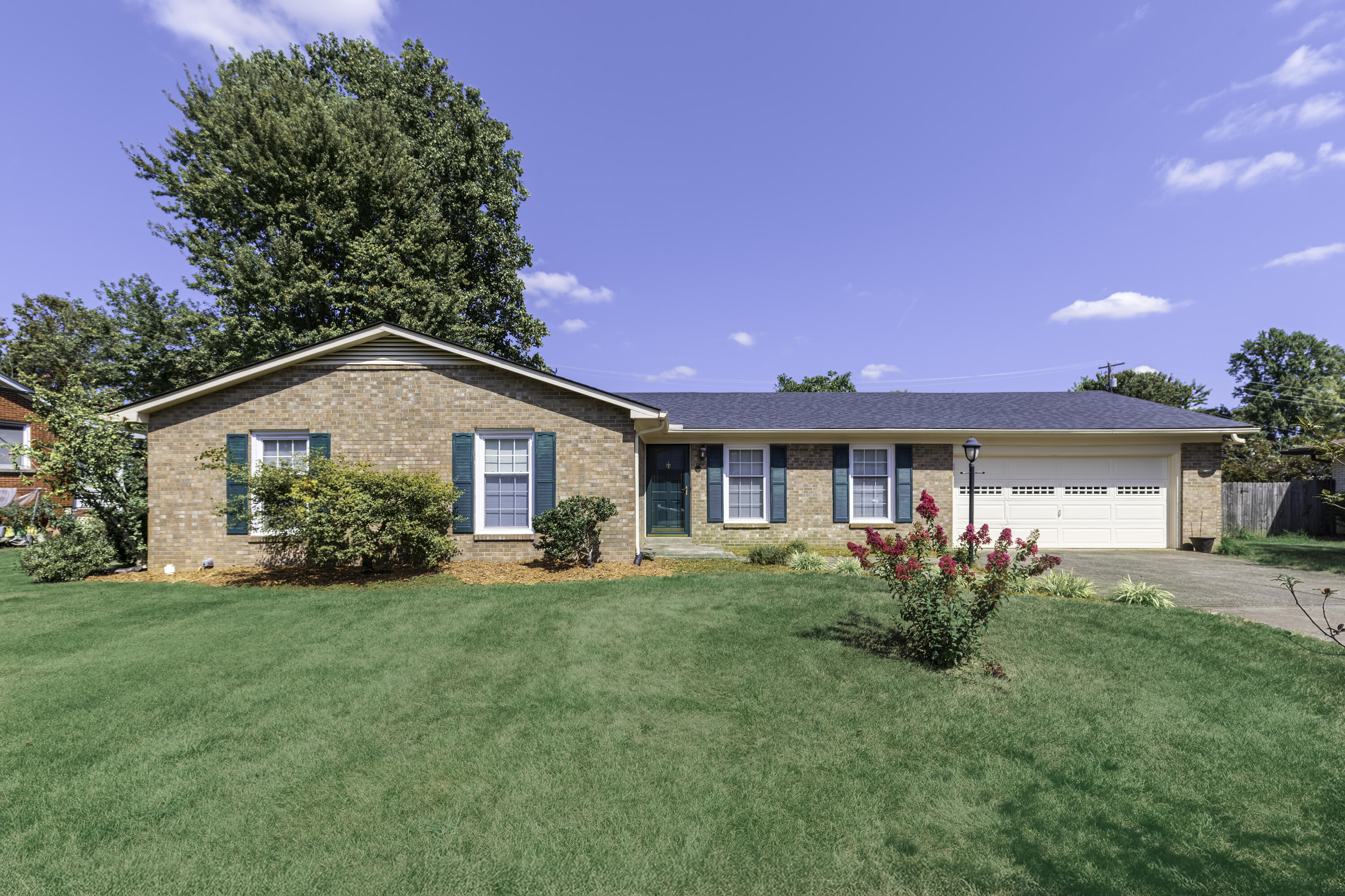 116 Roan 2