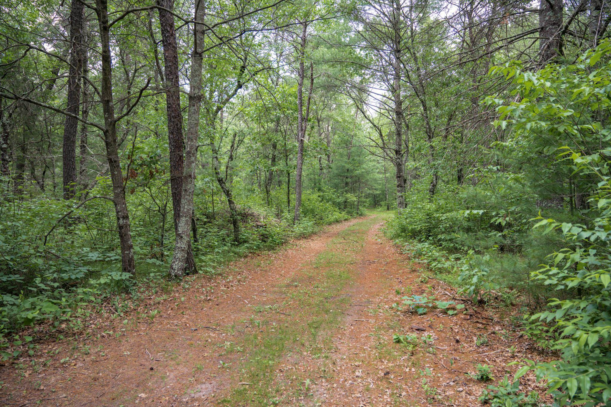 907 West Trout Valley Road Hancock, WI 54943 - Photo 25 of 48