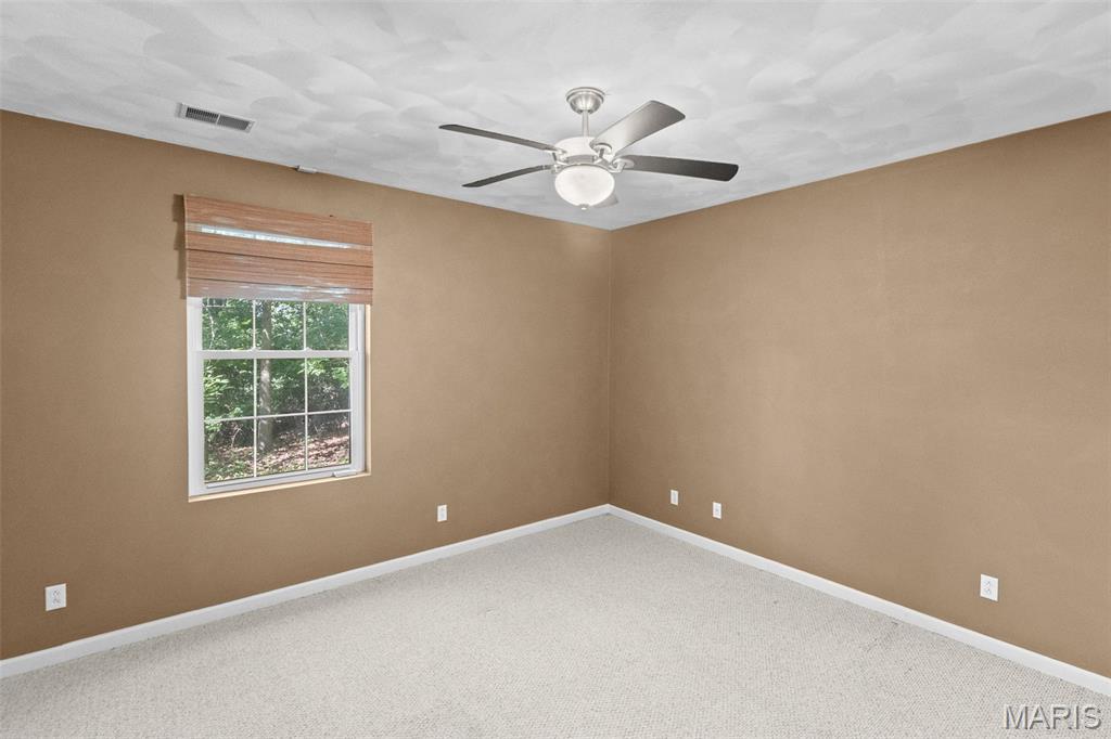 5259 Shingle Oak Lane Smithton, IL 62285 - Photo 49 of 56