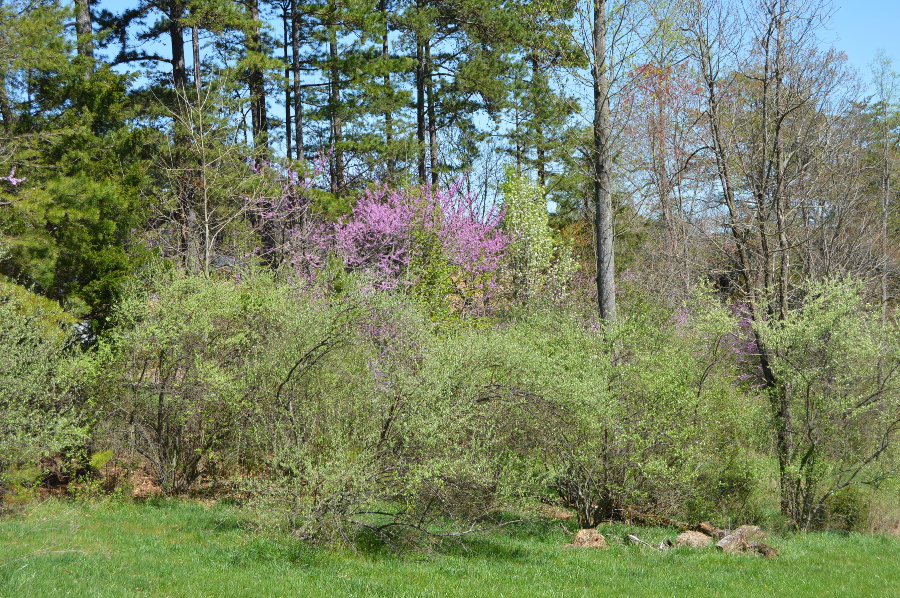 Lot 5 Kemp Ford Road Union Hall, VA 24176 - Photo 8 of 22 Land