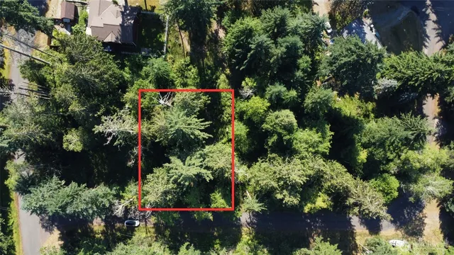 a view of a garden with plants