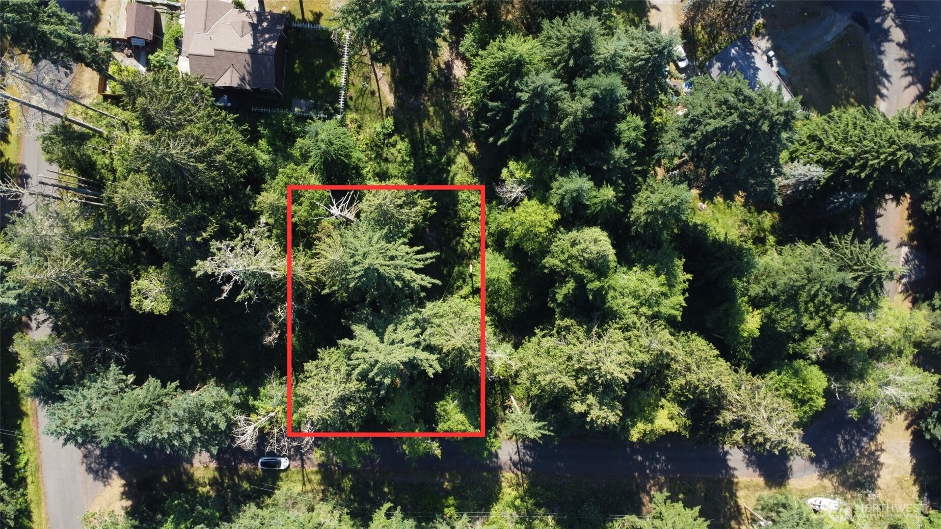 10114 Selma Circle Anderson Island, WA 98303 - Photo 2 of 5 a view of a garden with plants