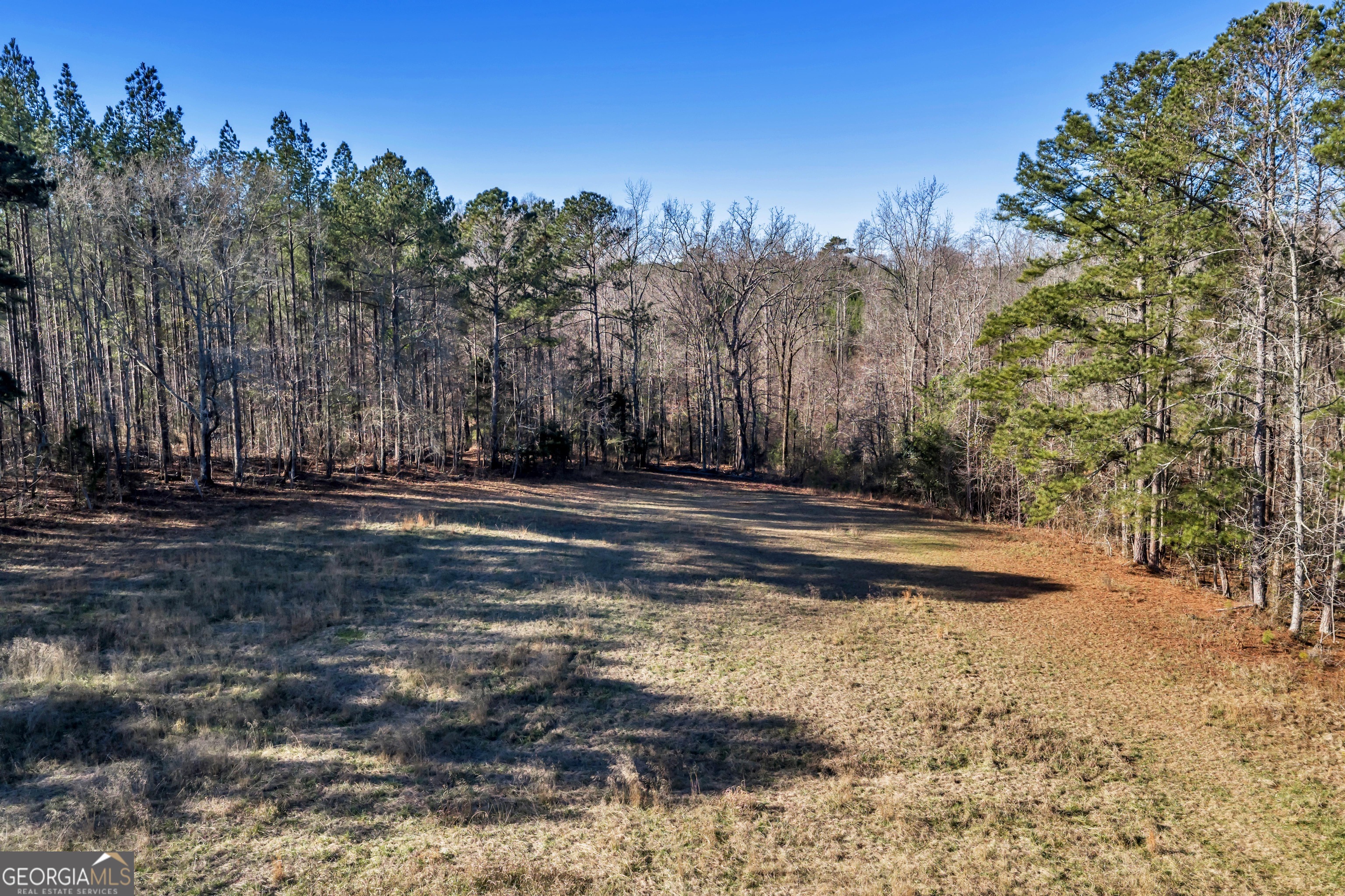 1020 Kendall Road Yatesville, GA 31097 - Photo 46 of 50