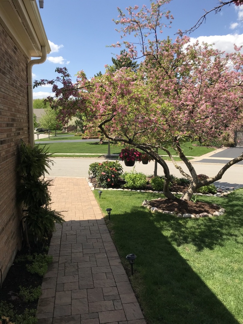 10661 Hollow Tree Road Orland Park, IL 60462 - Photo 42 of 43