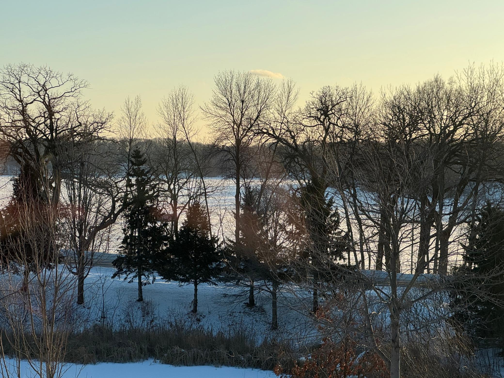 70 Lake Riley Trail Chanhassen, MN 55317 - Photo 46 of 52