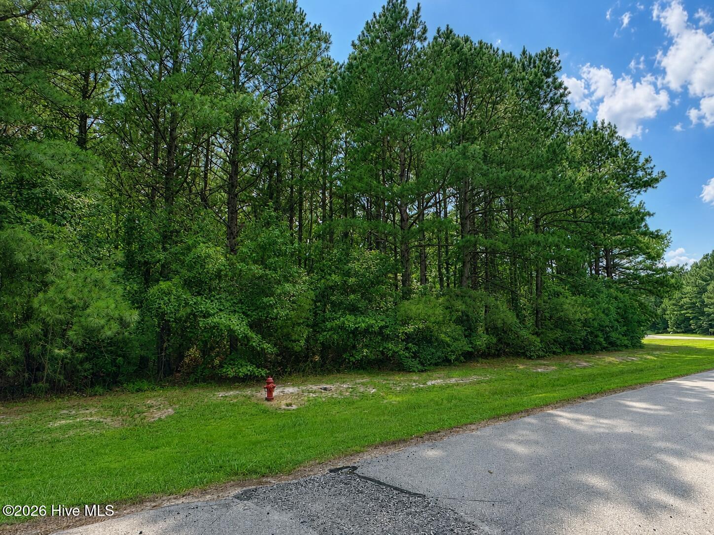 136 Norcum Point Road Edenton, NC 27932 - Photo 2 of 6