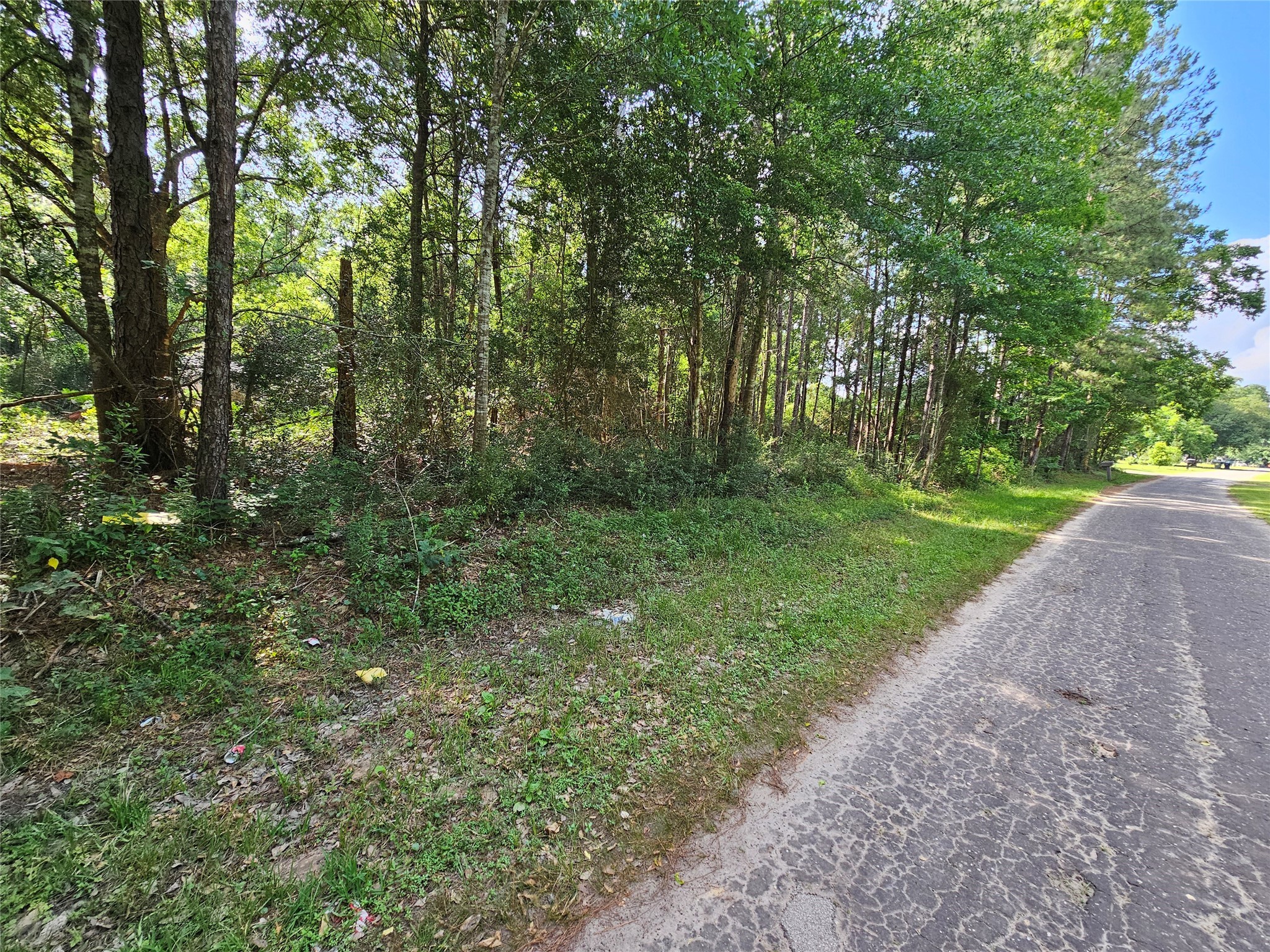 a big yard with lots of green space and trees