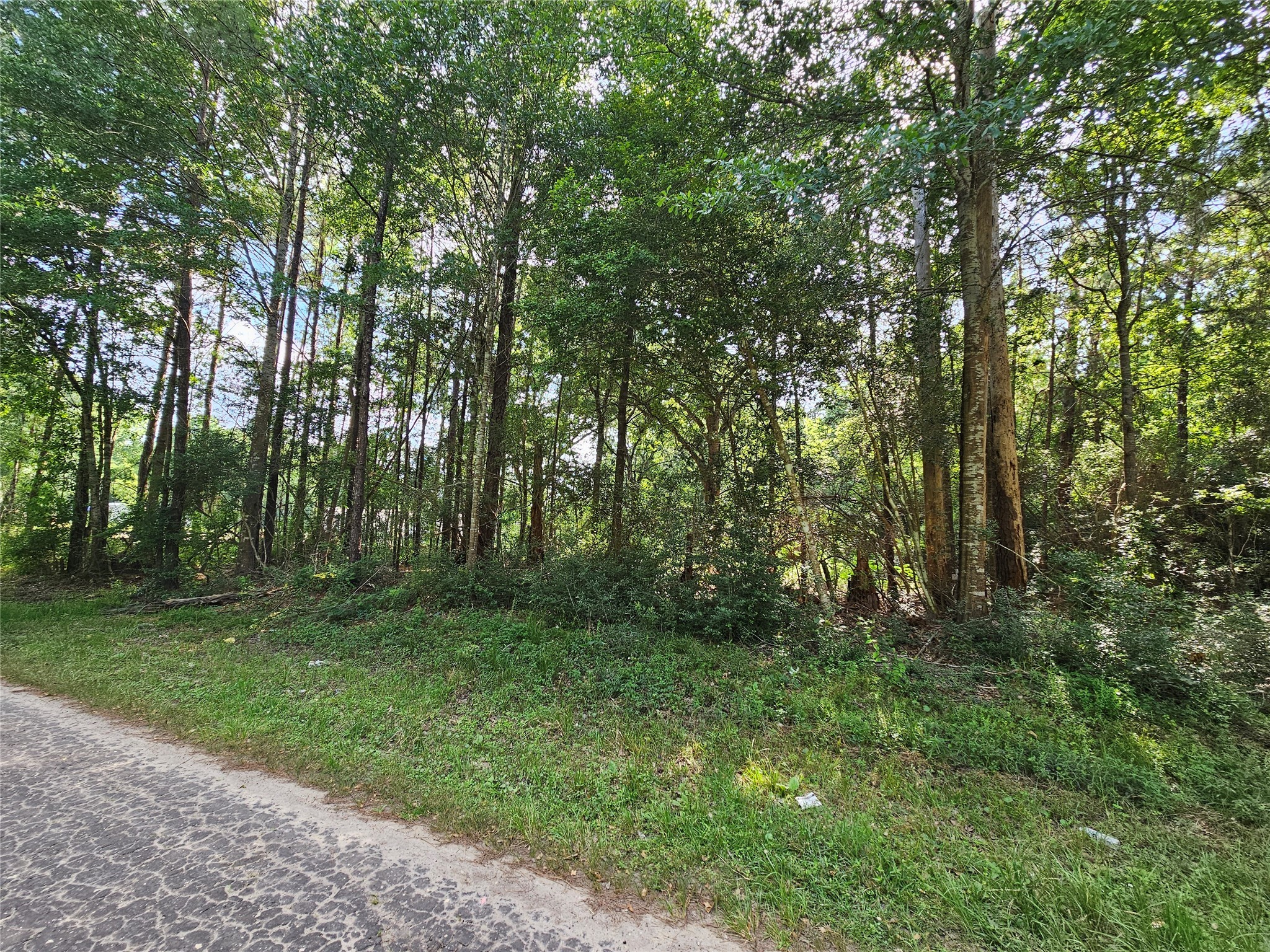 185 Sessums Road Silsbee, TX 77656 - Photo 2 of 7 a big yard with lots of green space and trees