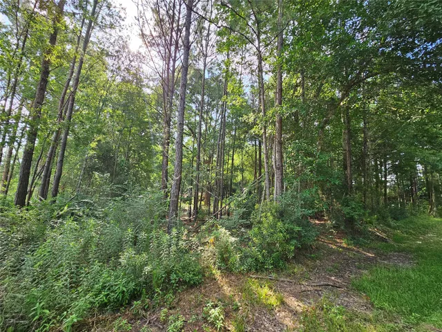 $95,000 | 185 Sessums Road, Silsbee, TX 77656