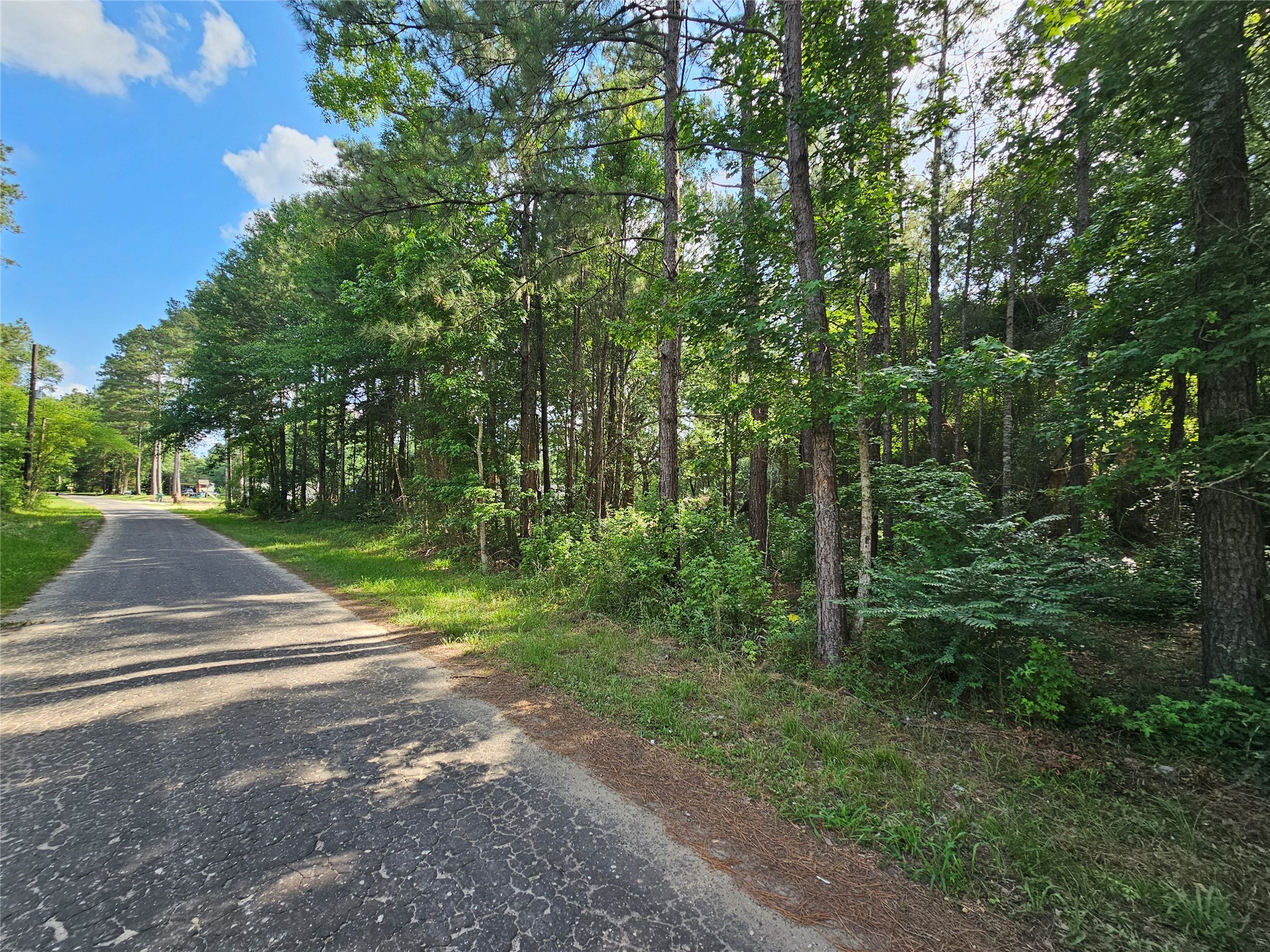 185 Sessums Road Silsbee, TX 77656 - Photo 6 of 7 a view of backyard with green space