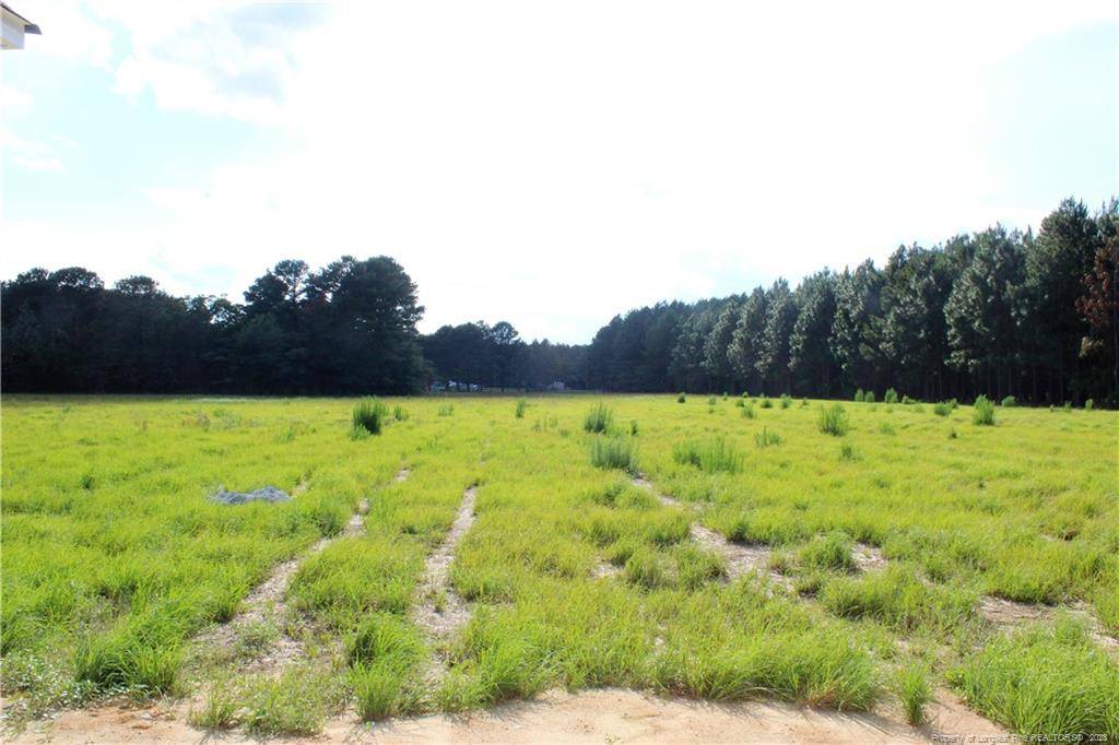 3830 Chicken Foot Road Hope Mills, NC 28348 - Photo 25 of 48 Photo 25