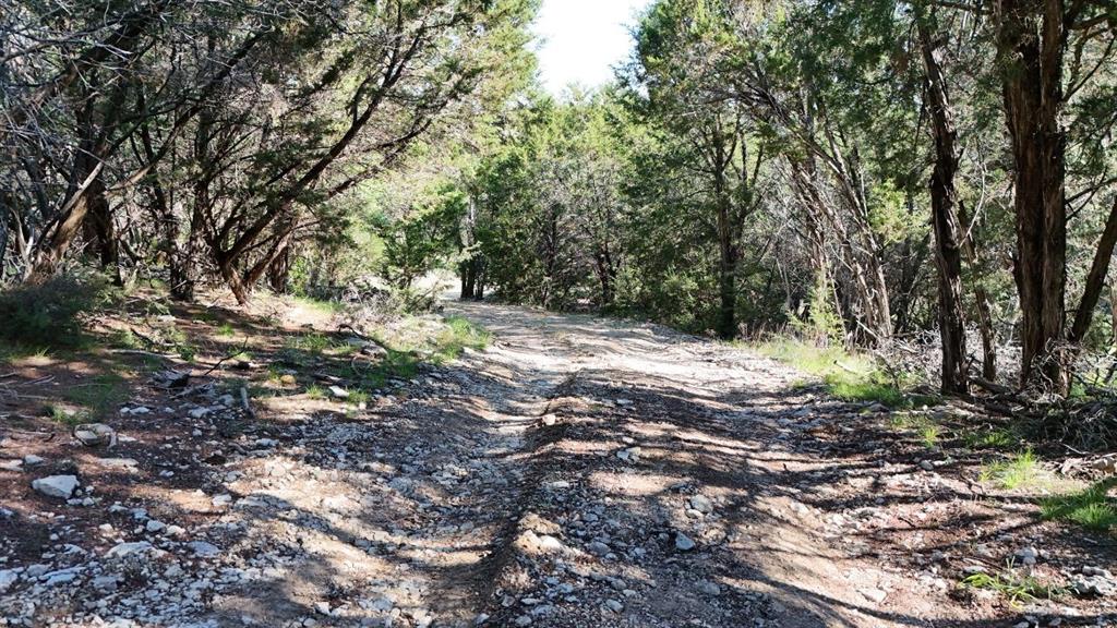 2801 Wind Point Court Tolar, TX 76476 - Photo 24 of 25 a view of a yard with plants and trees