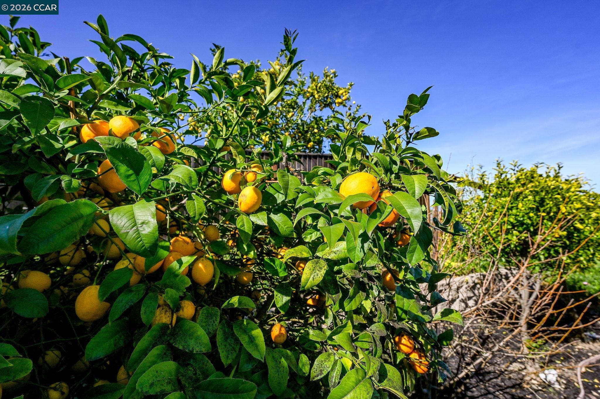 130 Savona Way Bay Point, CA 94565 - Photo 28 of 41