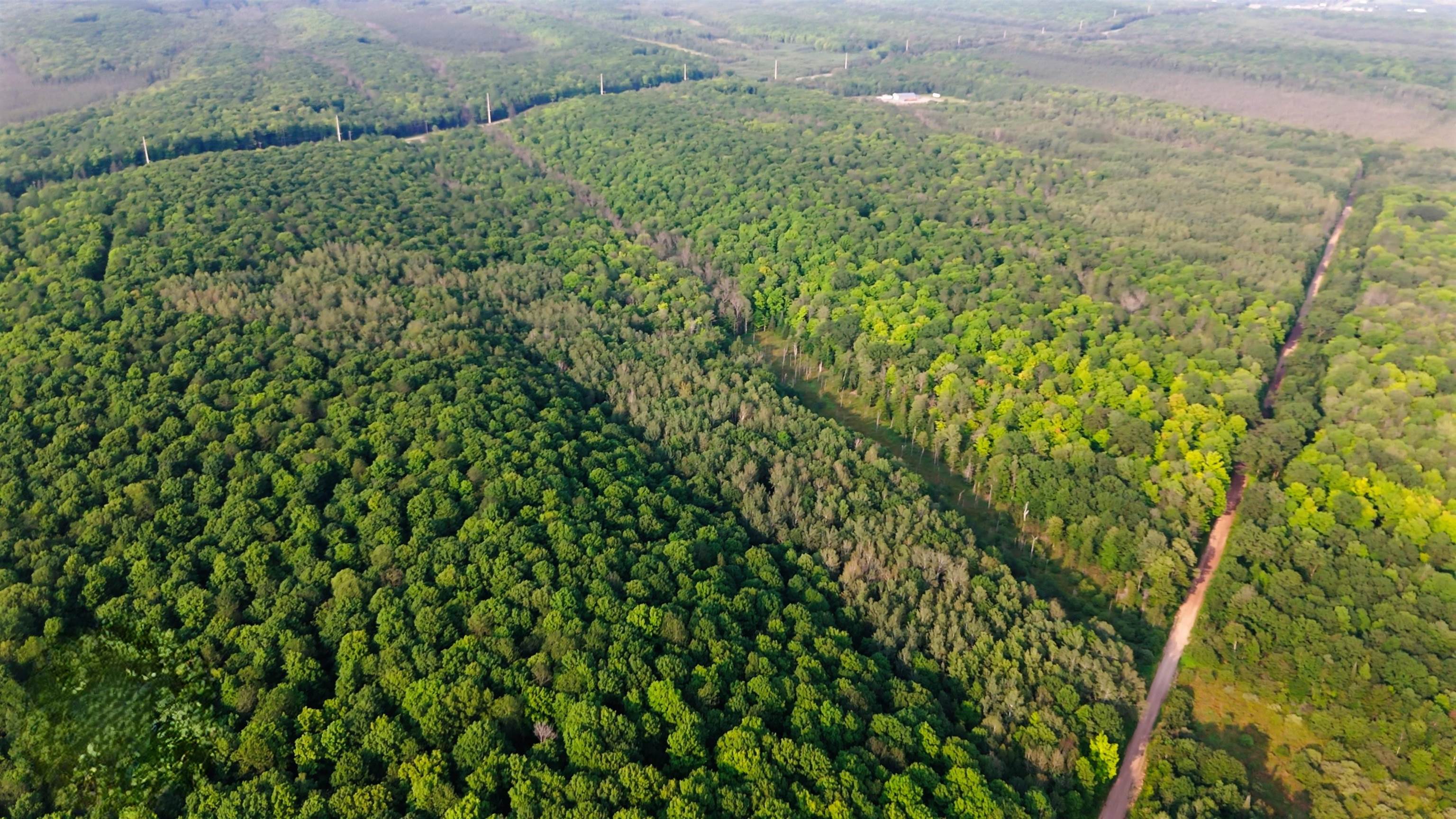 Tower Road, Unit 9 Crandon, WI 54520 - Photo 3 of 23