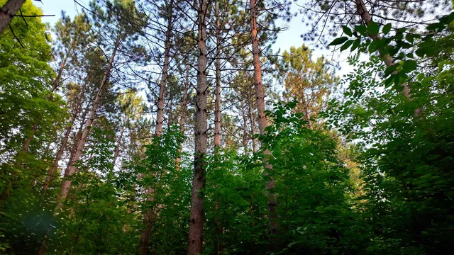 $59,000 | Tower Road, Unit 9, Crandon, WI 54520