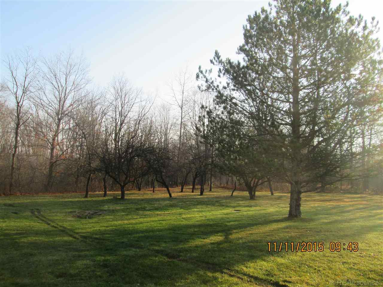 8330 Jordan Road Yale, MI 48097 - Photo 4 of 48 Gallery Image 4